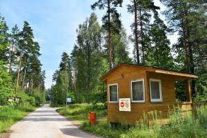 Dreiliņi "Meža Roze"