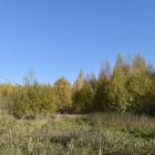 Normaļi, Ķekava by labamaja