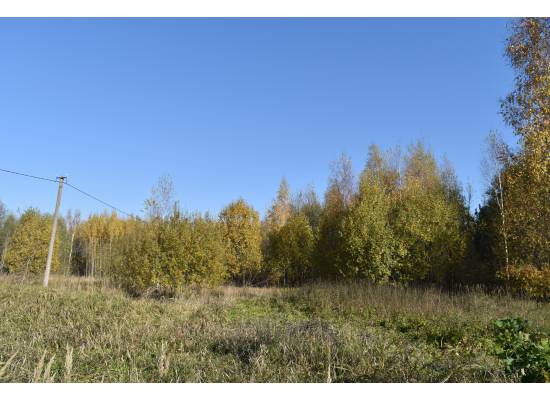 Normaļi, Ķekava by labamaja