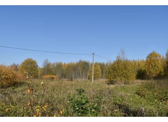 Normaļi, Ķekava by labamaja