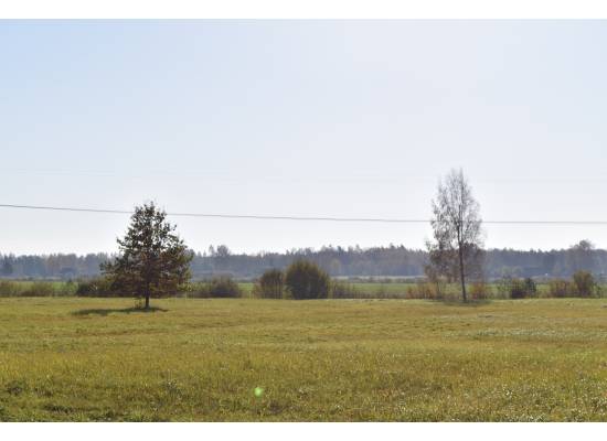 Normaļi, Ķekava by labamaja