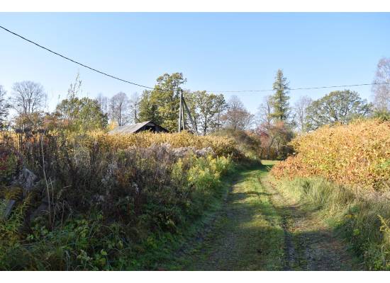 Normaļi, Ķekava by labamaja