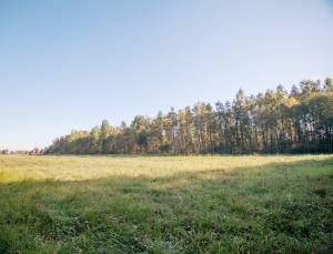 Mežkalni, Salaspils 3.2 ha