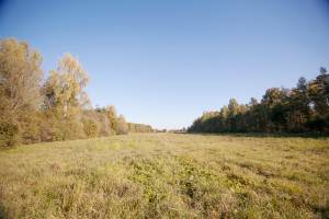 Mežkalni, Salaspils 3.2 ha