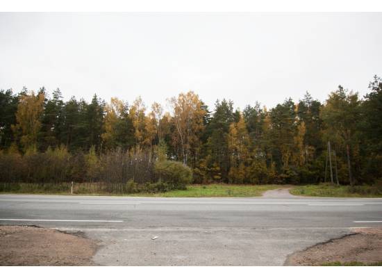 Ķekava, "Odiņbērzi" by labamaja