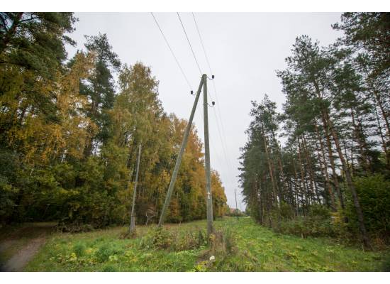 Ķekava, "Odiņbērzi" by labamaja