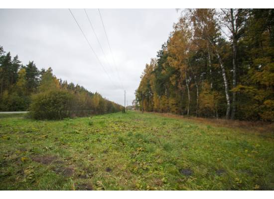 Ķekava, "Odiņbērzi" by labamaja