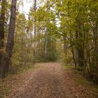 Ķekava, "Odiņbērzi" by labamaja