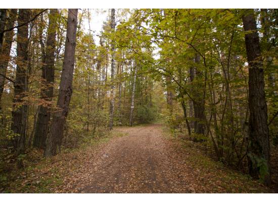 Ķekava, "Odiņbērzi" by labamaja