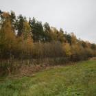 Ķekava, "Odiņbērzi" by labamaja