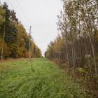 Ķekava, "Odiņbērzi" by labamaja