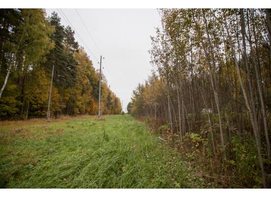 Ķekava, "Odiņbērzi" by labamaja