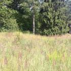 Baldone, Pasta iela 7 by labamaja