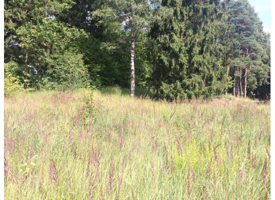 Baldone, Pasta iela 7 by labamaja