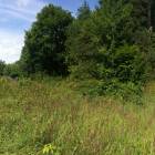 Baldone, Pasta iela 7 by labamaja