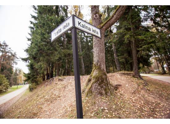 Baldone, Pasta iela 7 by labamaja