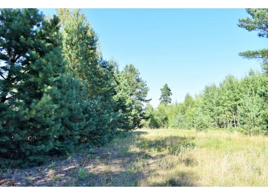 Smiltnieki 3, Ķekava by labamaja