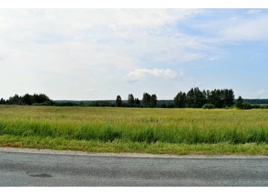 "Sodav Kalniņi" by labamaja