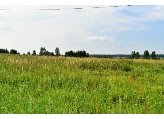 "Sodav Kalniņi" by labamaja