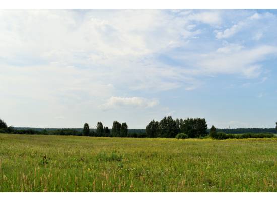 "Sodav Kalniņi" by labamaja