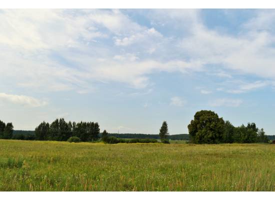 "Sodav Kalniņi" by labamaja