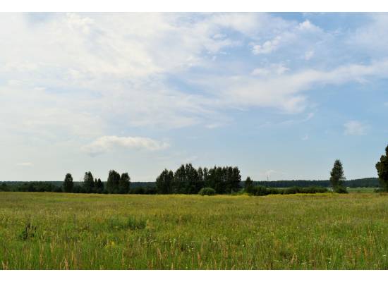 "Sodav Kalniņi" by labamaja