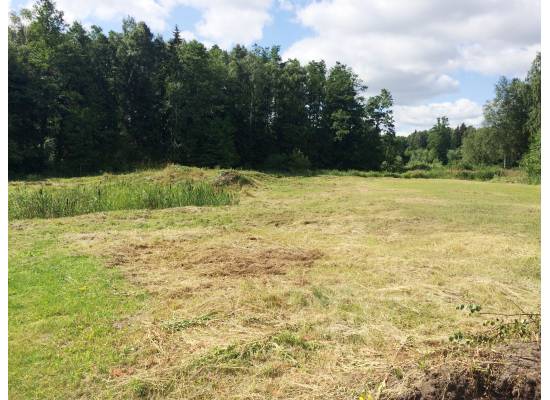 Torņa iela 14, Medemciems by labamaja