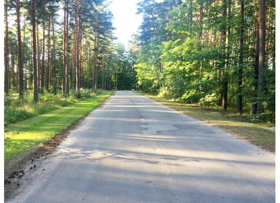 Priežu mala, Spuņciems by labamaja