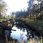 Priežu mala, Spuņciems by labamaja