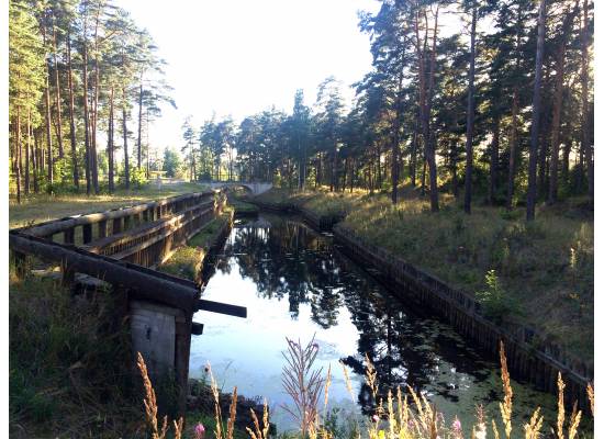 Priežu mala, Spuņciems by labamaja