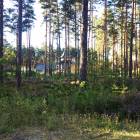 Priežu mala, Spuņciems by labamaja