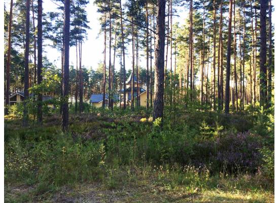 Priežu mala, Spuņciems by labamaja