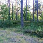 Priežu mala, Spuņciems by labamaja