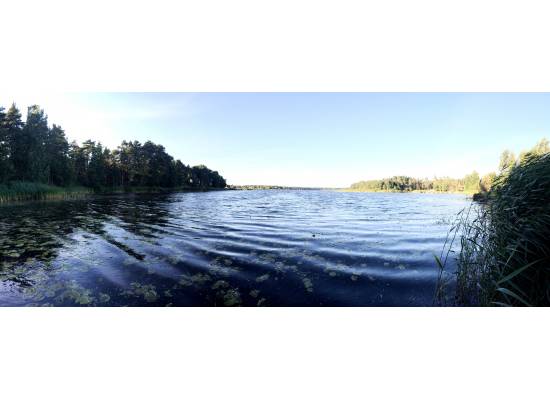 Priežu mala, Spuņciems by labamaja