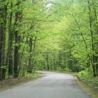 Beberbeķi 9.līnija by labamaja