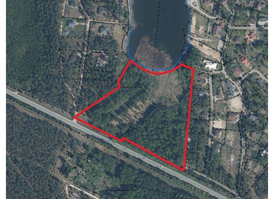 Jaunliepiņas, Sunīši by labamaja