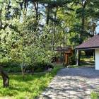 Lauvas, Babīte - Jūrmala by labamaja
