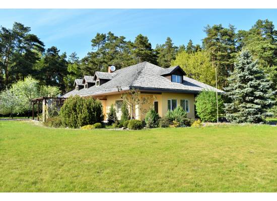 Lauvas, Babīte - Jūrmala by labamaja