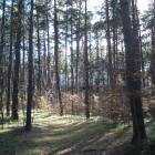 Rīga, Jaunciema 5.šķērslīnija 16 by labamaja