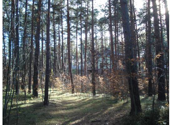 Rīga, Jaunciema 5.šķērslīnija 16 by labamaja