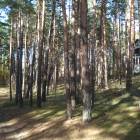 Rīga, Jaunciema 5.šķērslīnija 16 by labamaja