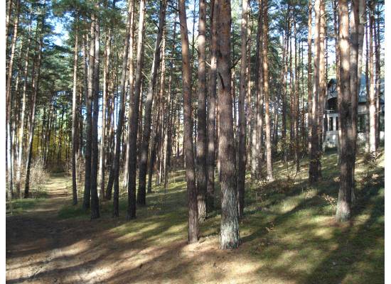 Rīga, Jaunciema 5.šķērslīnija 16 by labamaja