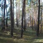 Rīga, Jaunciema 5.šķērslīnija 16 by labamaja