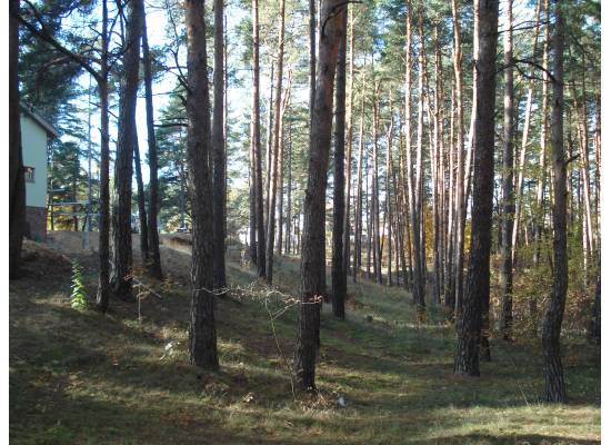 Rīga, Jaunciema 5.šķērslīnija 16 by labamaja