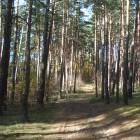 Rīga, Jaunciema 5.šķērslīnija 16 by labamaja