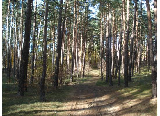 Rīga, Jaunciema 5.šķērslīnija 16 by labamaja