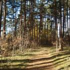 Rīga, Jaunciema 5.šķērslīnija 16 by labamaja