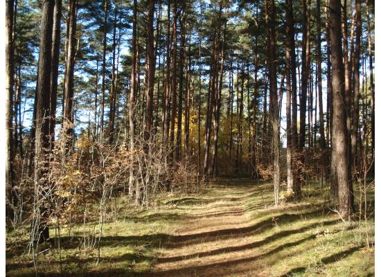 Rīga, Jaunciema 5.šķērslīnija 16 by labamaja