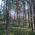 Rīga, Jaunciema 5.šķērslīnija 16 by labamaja