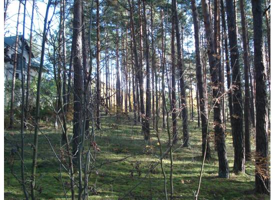 Rīga, Jaunciema 5.šķērslīnija 16 by labamaja